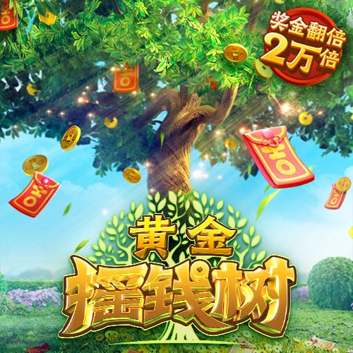 金龙寺在哪里